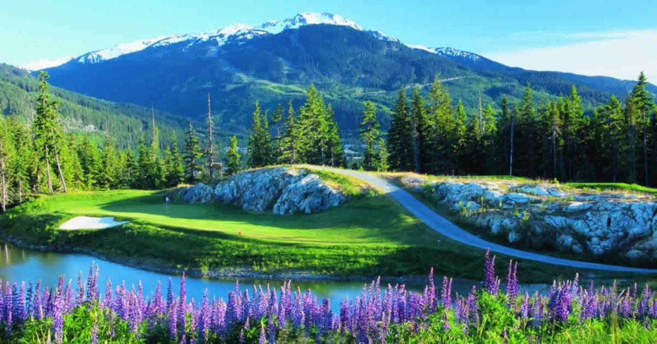 Bright Suite At Ski In/Out Glacier Lodge! Whistler Exterior foto